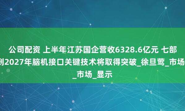 公司配资 上半年江苏国企营收6328.6亿元 七部门：到2027年脑机接口关键技术将取得突破_徐旦莺_市场_显示